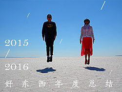 好东西2015/2016年度总结