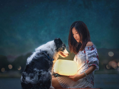 夜空（個(gè)人主頁-ZMzgzNDQwMjA=） - 寵物攝影 - 站酷設(shè)計(jì)師寵物攝影師狗哥原創(chuàng)素材 - 站酷ZCOOL