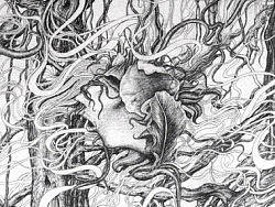 2013作品－《树说》