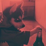 JRandom的头像