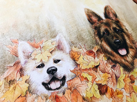 彩铅狗狗