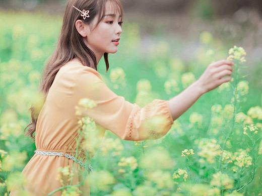 那些花儿