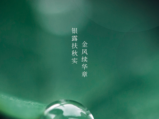 白露
