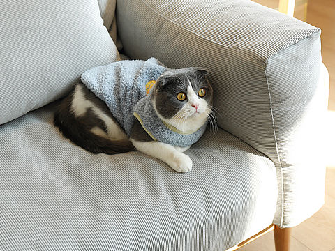 日式元素|人见人夸的复古沙发