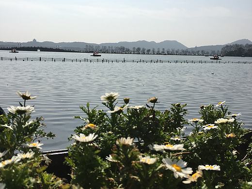西湖边的风景