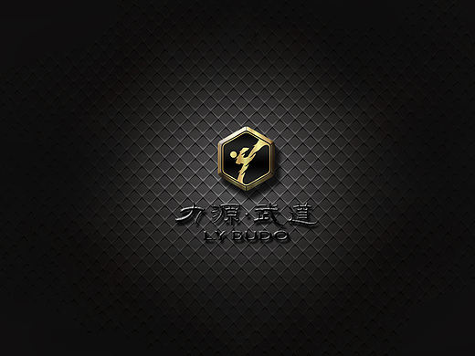 力源武道桌面壁纸