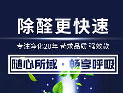 负离子甲醛清除剂