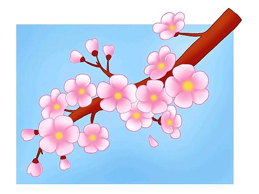 插画练习 花卉