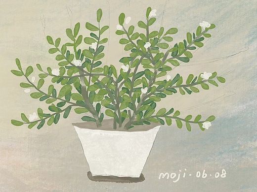 我記憶里的茉莉花（個人主頁-ZNTMyMzc3OTY=） - 藝術(shù)插畫 - 站酷設計師兩個山原創(chuàng)素材 - 站酷ZCOOL