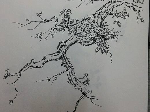 禅意——旭写丹青［墨色］
