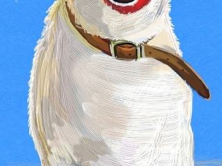 第一張（個(gè)人主頁(yè)-ZNzMyMjQxNg==） - 創(chuàng)作習(xí)作 - 站酷設(shè)計(jì)師biubiubiu492原創(chuàng)素材 - 站酷ZCOOL