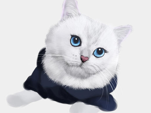手绘猫——练习中