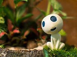 亲手做的一组苔藓瓶