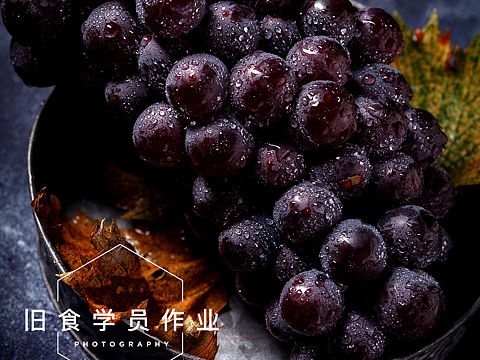 一组关于葡萄的影像记录。