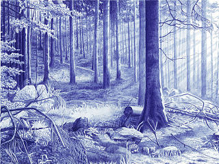 生命之光（个人主页-ZNjEwMjQ3Ng==） - 绘画 - 站酷设计师loong_原创素材 - 站酷ZCOOL