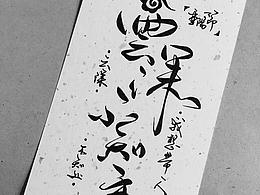 菊花茶