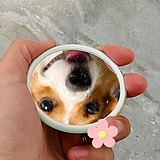 水瓜籽的头像