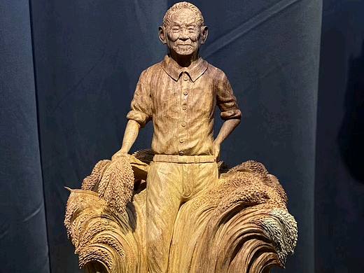 花梨木〈科技强国〉尺寸36.26.62
