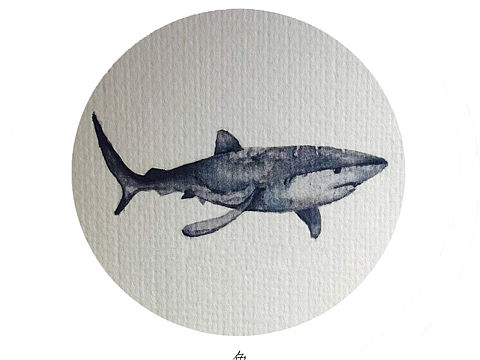 手绘水彩·住在我心里的鱼