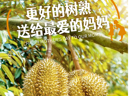 榴莲海报
