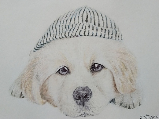 小小鸟-圆珠笔|纯艺术|绘画|水墨1005淡清 - 原创作品 - 站酷 (zcool)