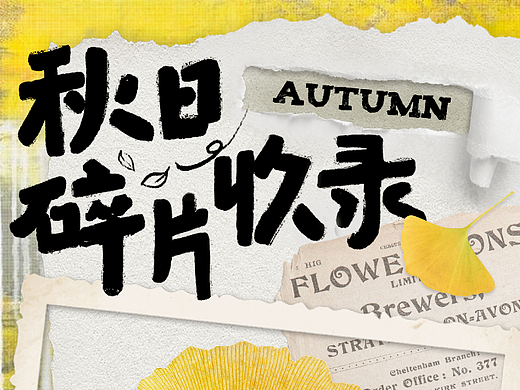 版式字体设计|手写体