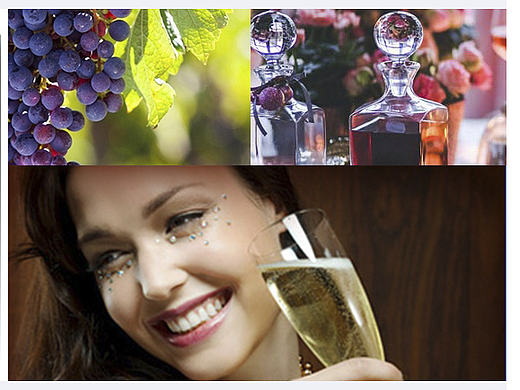 网站导航--首页