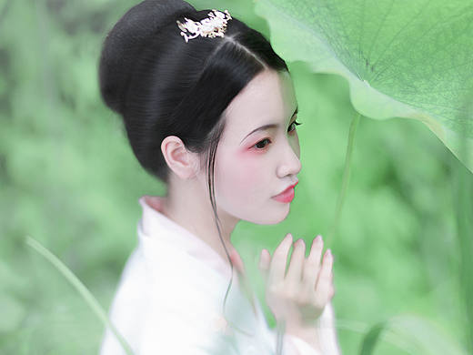 荷花