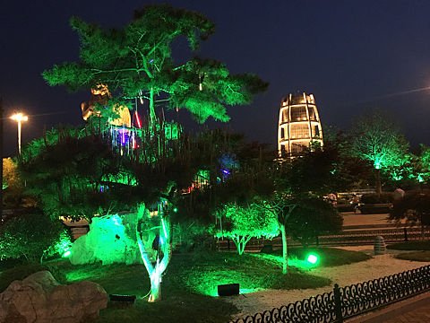 美丽的双西湖夜景