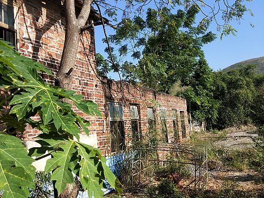 午秋🍂（个人主页-ZMzYzMTk3MjQ=） - 风光摄影 - 站酷设计师画画不白原创素材 - 站酷ZCOOL