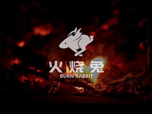 火燒兔LOGO全案（個(gè)人主頁(yè)-ZNDM0ODc0NDQ=） - Logo - 站酷設(shè)計(jì)師BAOBAOZIZI原創(chuàng)素材 - 站酷ZCOOL