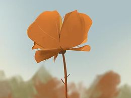安静的花花草草