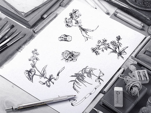 云贵高原特产包装设计