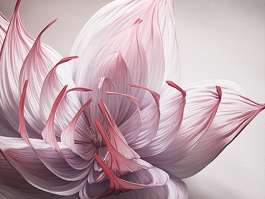 万象花开