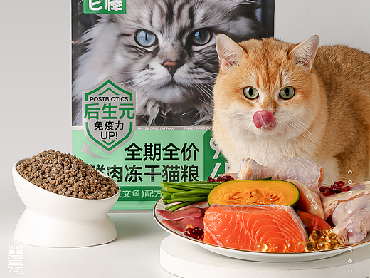 猫粮丨黑云产品摄影