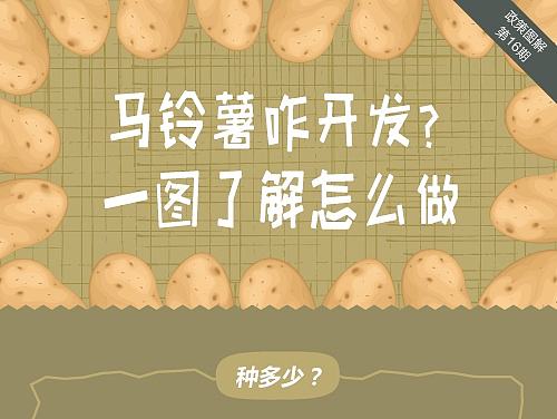 图解/信息图