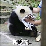 王白马的头像