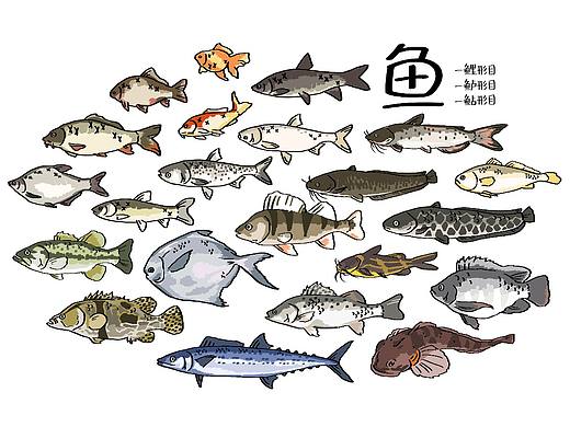 食物笔记–海鲜常见吃的鱼！