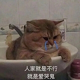一笼小笼包_的头像