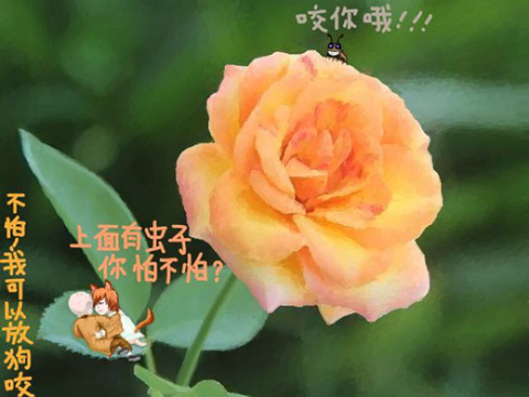 醉卧花虫