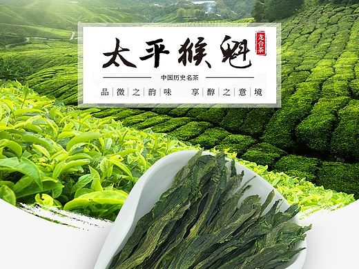 茶叶详情