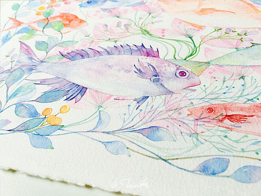 《鱼》水彩手绘插画