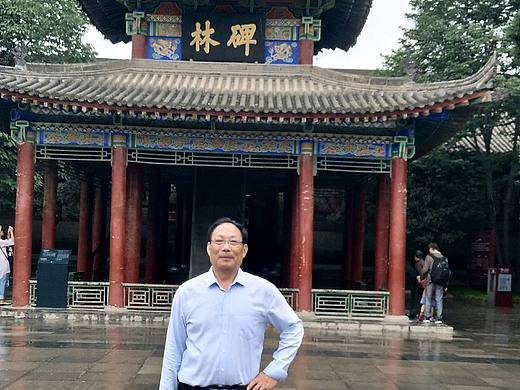 杨海卿中国当代著名书法家