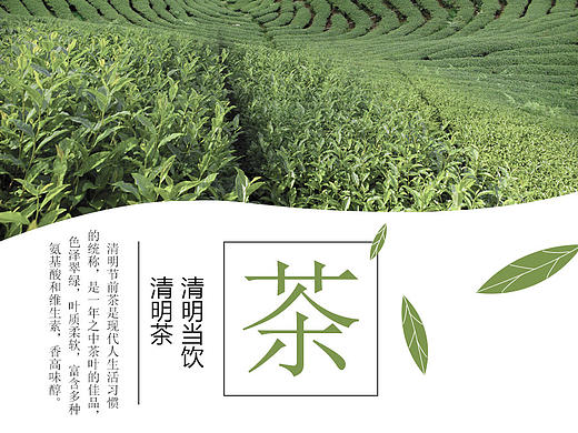 茶