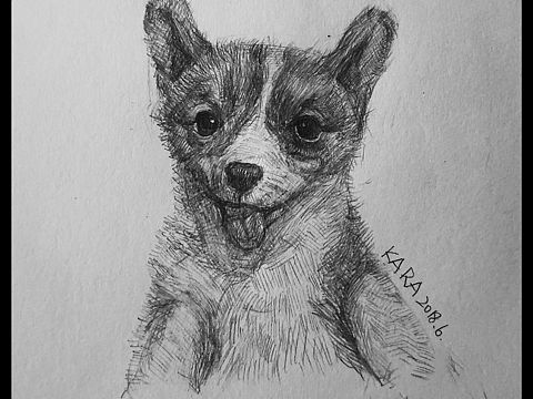 萌宠Linkkkkk～（个人主页-ZMzMwNjk2NzI=） - 创作习作 - 站酷设计师小小KaRa原创素材 - 站酷ZCOOL