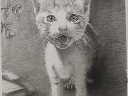 猫咪，绘画之路开始更新