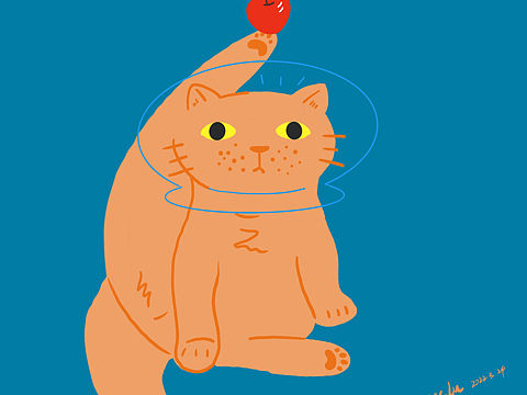 猫咪
