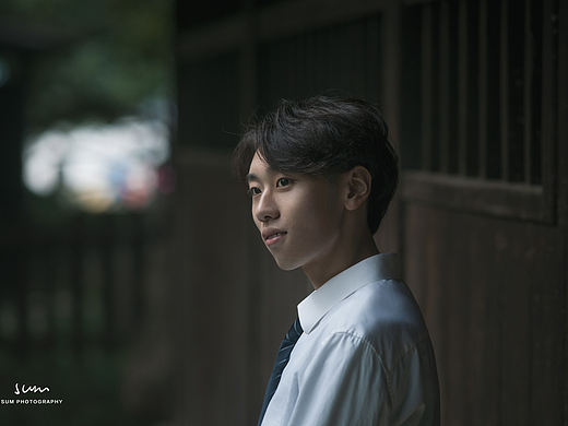 看那些随风的声音