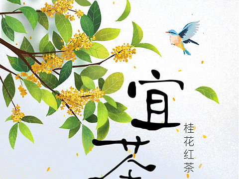 哇哈哈“宜茶时”系列包装插画