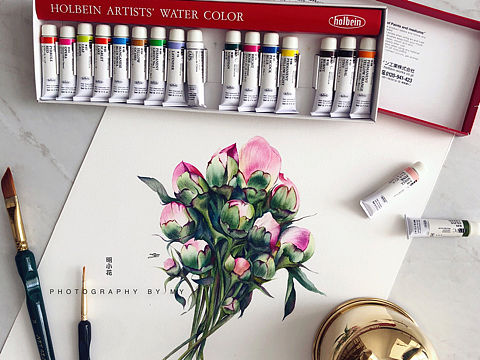 明小花水彩～含苞的優(yōu)雅～全過(guò)程圖奉上～（個(gè)人主頁(yè)-ZNDcyNzQ2MDg=） - 繪畫(huà) - 站酷設(shè)計(jì)師明小花原創(chuàng)素材 - 站酷ZCOOL